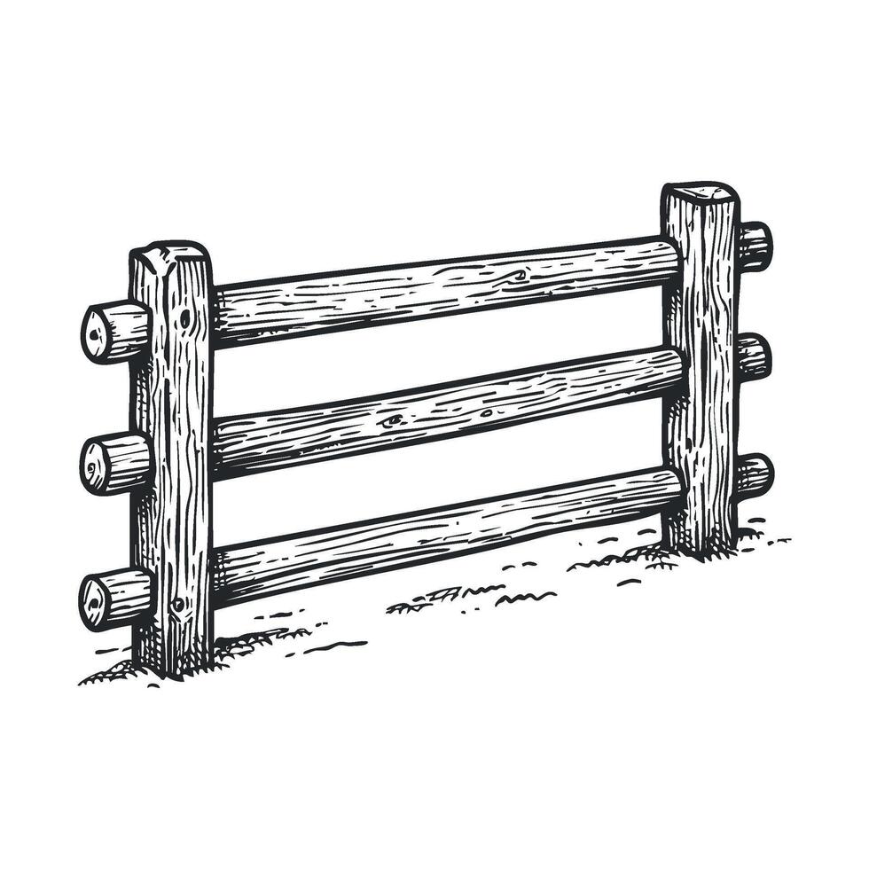 Wooden fence design for outdoor spaces and landscaping ideas vector
