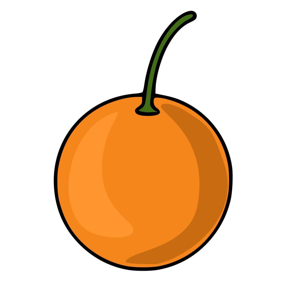 A illustration of a single, stylized orange with a prominent stem, featuring a bold outline and vibrant orange hues, perfect for design projects needing a simple yet eye-catching fruit element. vector