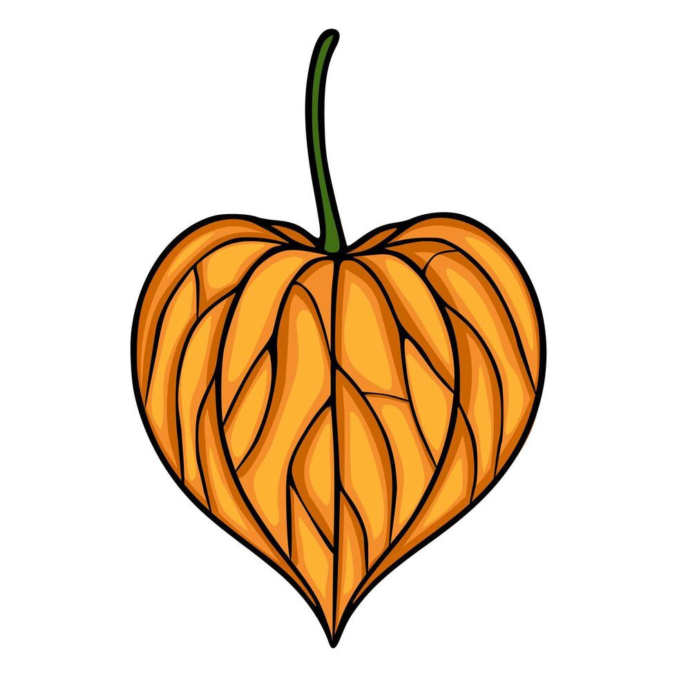 illustration of a stylized heart-shaped physalis fruit with intricate orange and brown patterns, perfect for autumnal designs or decorative elements. vector