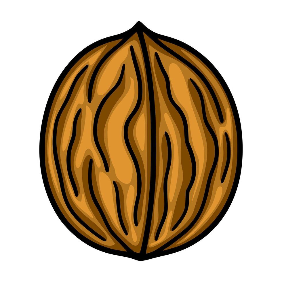 A illustration of a single walnut, showcasing a detailed hand-drawn style with rich brown hues and black outlines, emphasizing the natural texture and grain of the shell. vector
