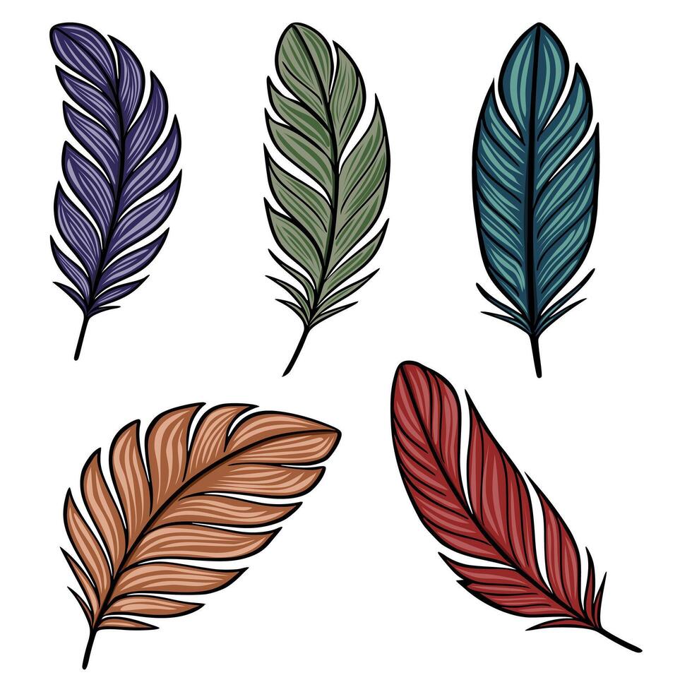 Collection of five stylized feathers in diverse colors dark purple, olive green, teal, terracotta, and burgundy red, each with detailed linework and gradient shading, isolated on white. vector