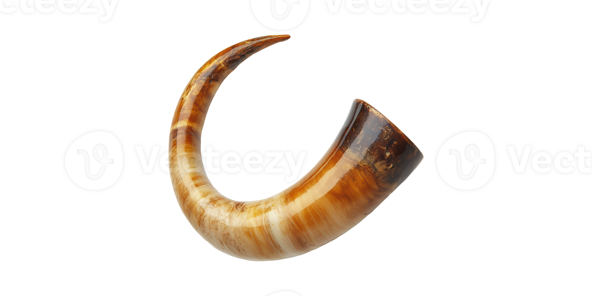 Polished Drinking Horn. Traditional Viking And Medieval Beverage Vessel Isolated On Transparent Background png
