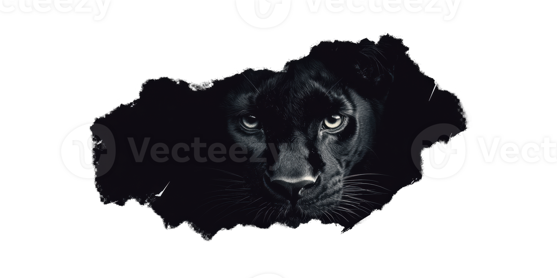 Black Panther Face Emerging From Darkness. Symbol Of Strength And Mystery Isolated On Transparent Background png