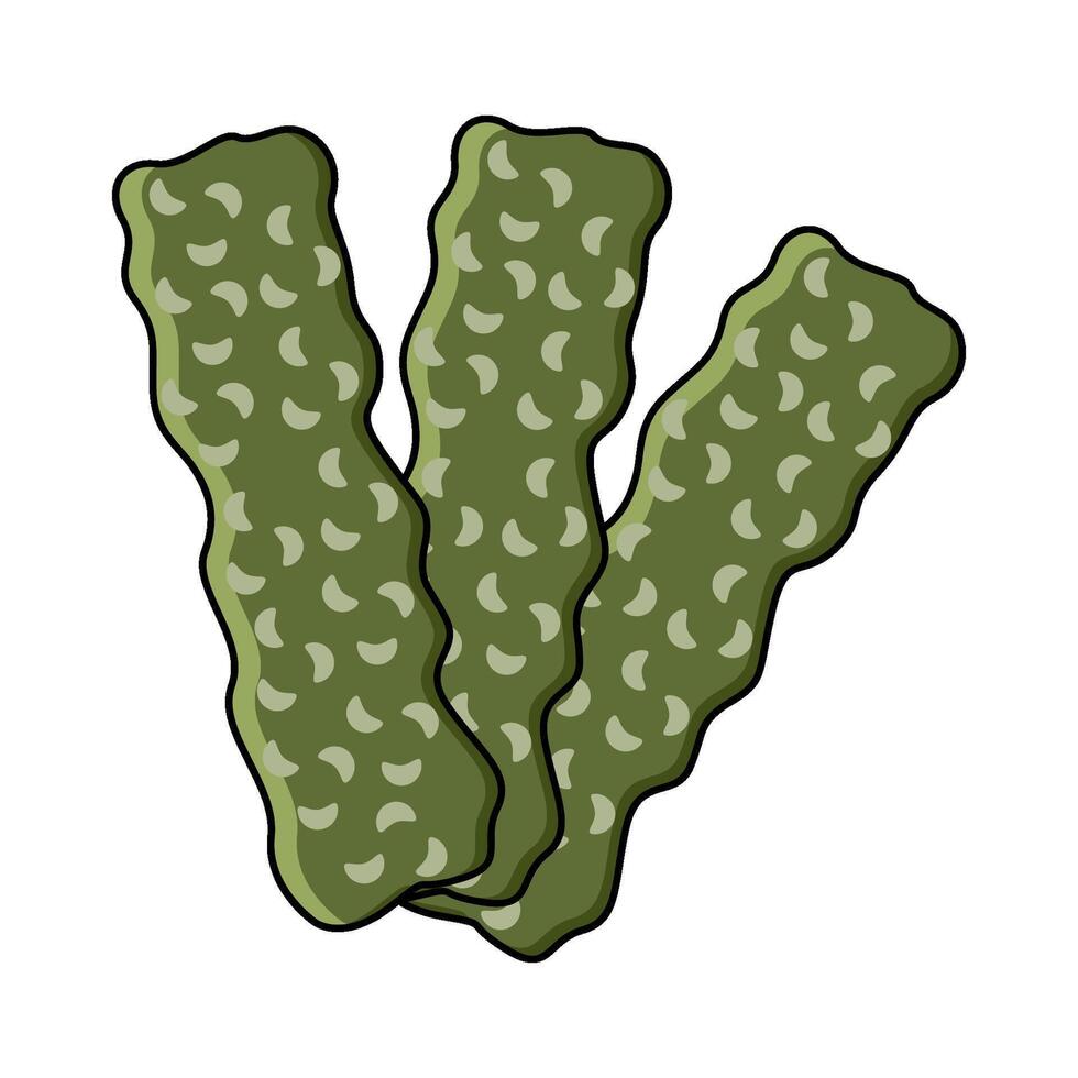 illustration of dried seaweed vector