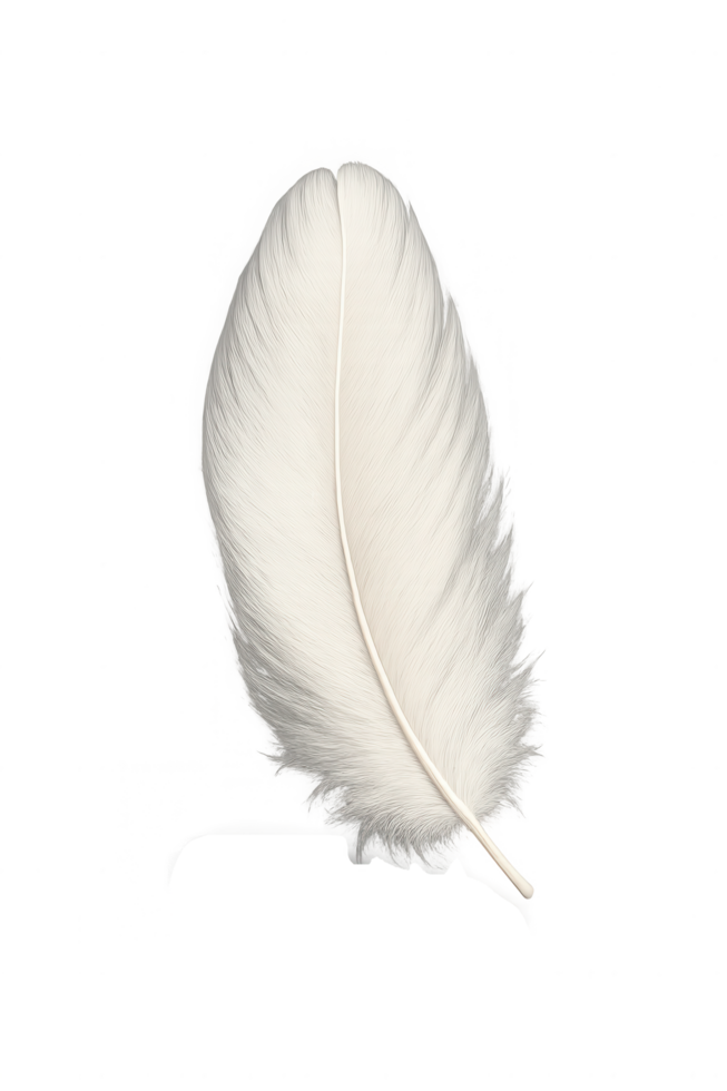 Soft white feather isolated on transparent background png