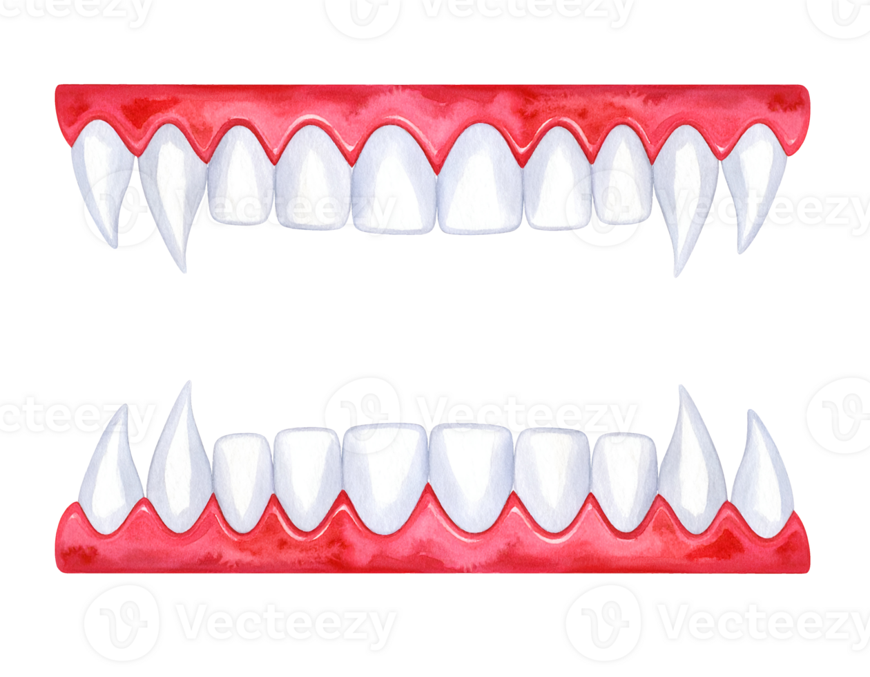 Vampire fangs with red gums shown top and bottom rows on isolated background png