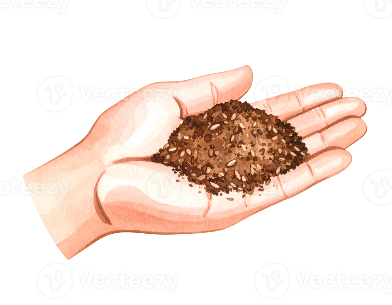 Hand holding a mix of seeds and scrub grains for skincare exfoliation and nourishment on isolated background png