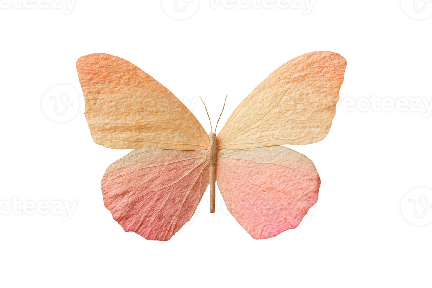 Surreal butterfly with gradient wings showcasing delicate color transitions png