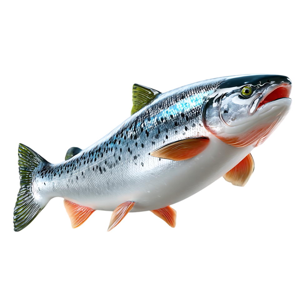 A salmon leaps through dark water showcasing its vibrant colors and detailed scales a beautiful aquatic creature png