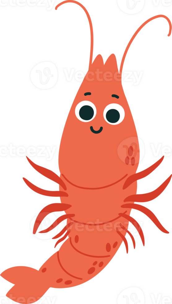 Shrimp. Cute animal png