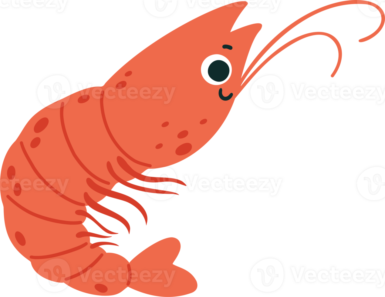 Shrimp Cute animal png