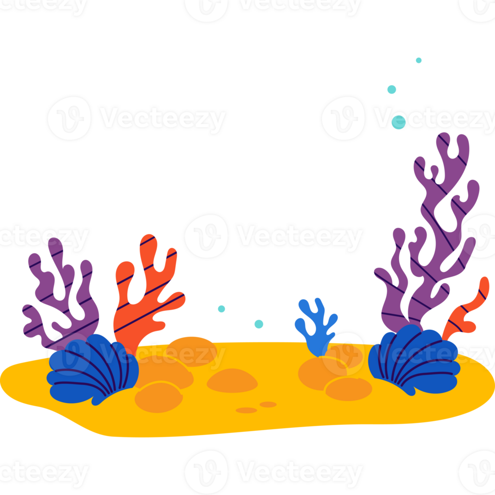 Tropical Sea Plants, Shells, exotic seaweed and Coral on seabed png