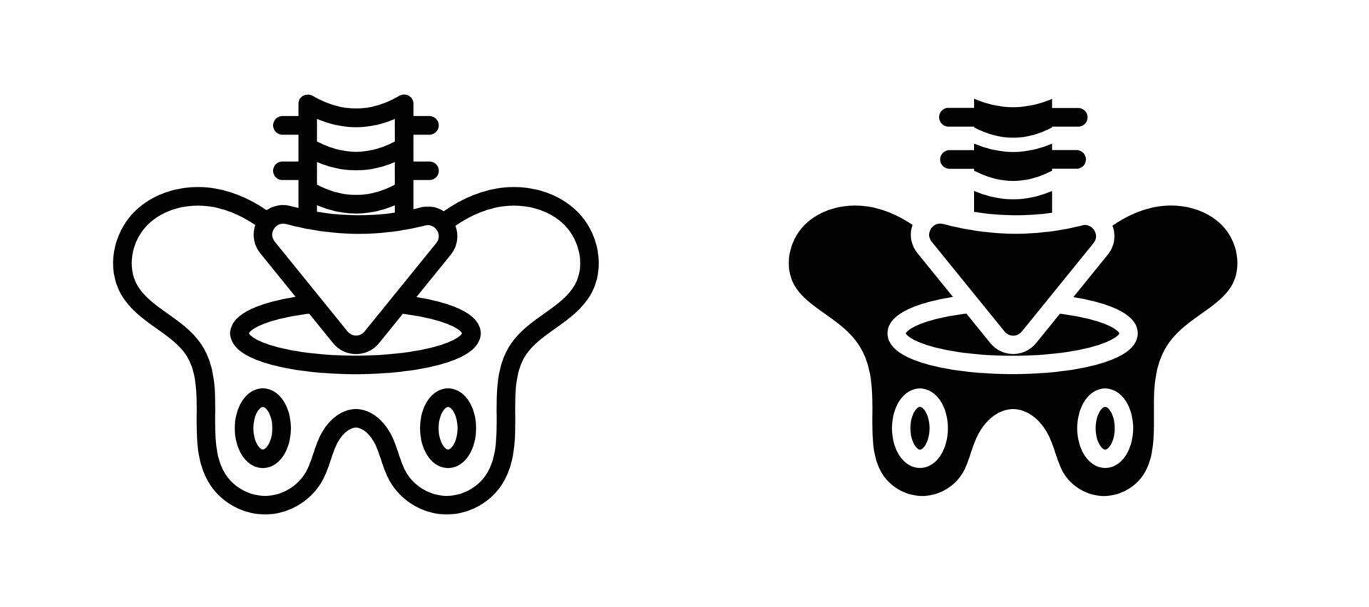Pelvic area icon collection vector