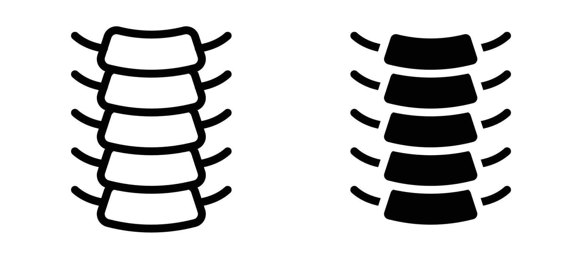 Spinal column icon collection vector