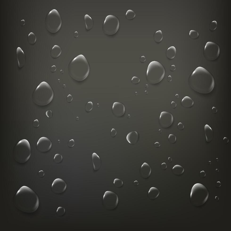 Realistic water drops on black background with reflection vector