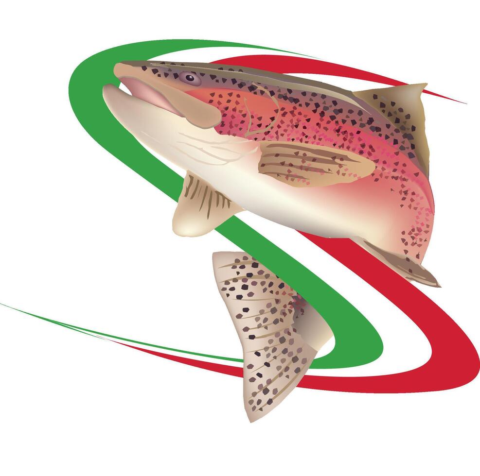 A fish with a red, green and white striped background vector