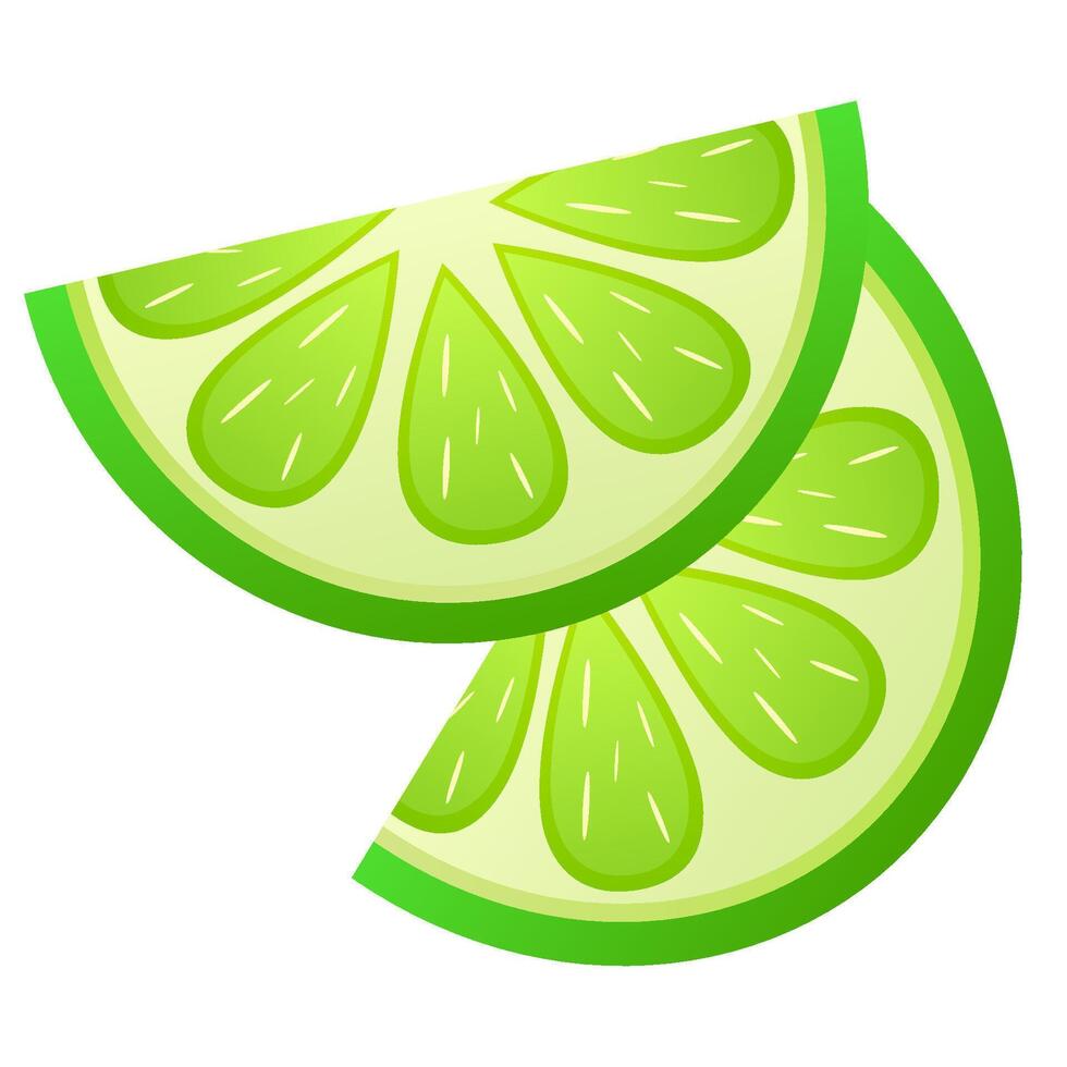 Lime slices isolated on white background citrus fruit illustration vector