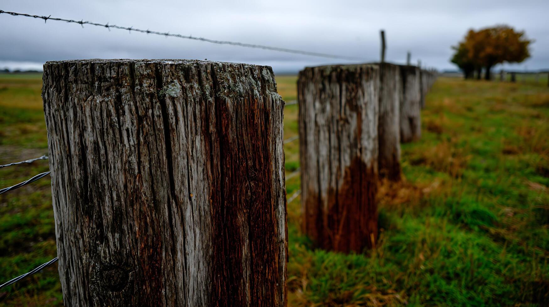 Weathered Fence Posts Divide a Rural Landscape Under Moody Skies. photo
