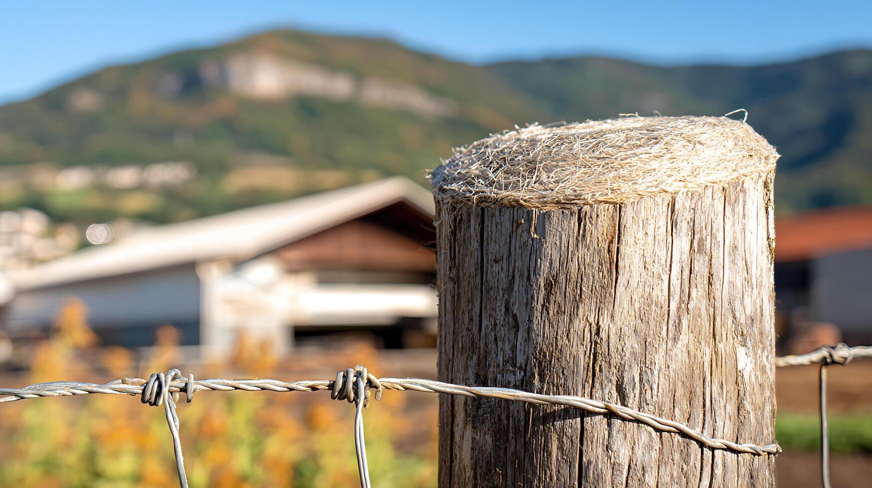 Rural Fence Post With Distant Mountain View And Barn. photo