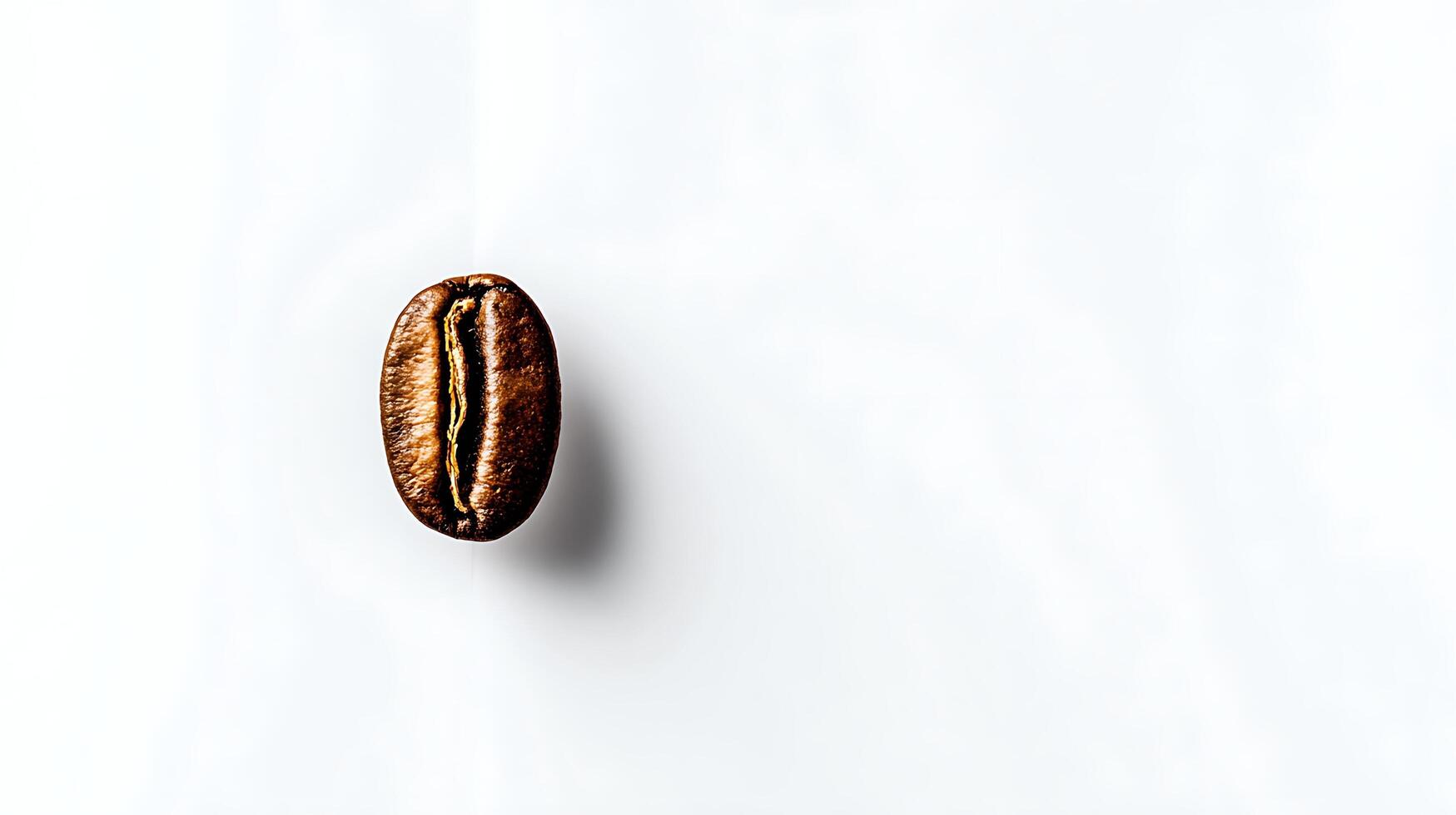 Isolated Coffee Bean Macro Shot for Your Morning Brew. photo