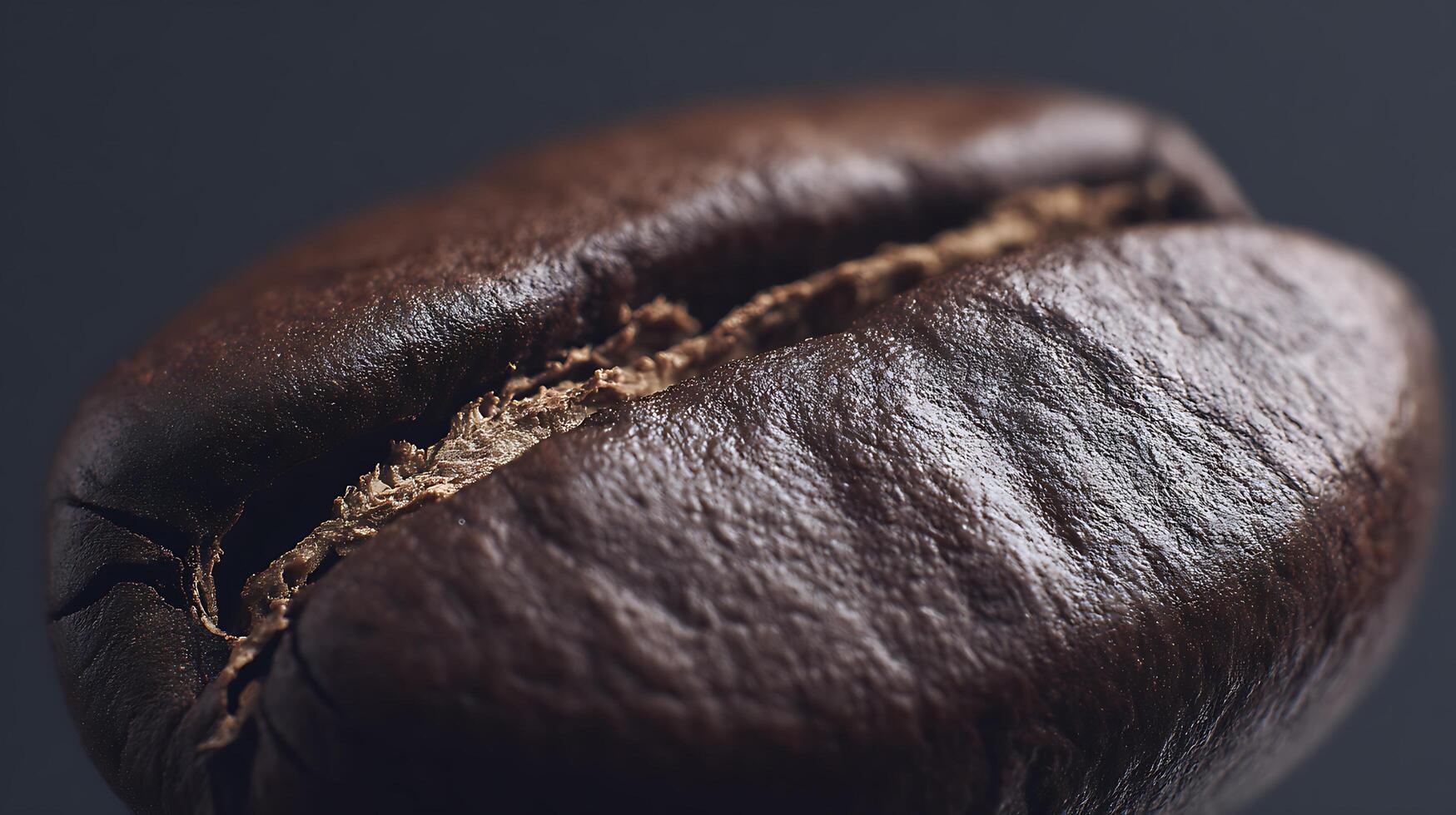 Extreme Close Up Of A Single Roasted Coffee Bean With Rich Texture. photo