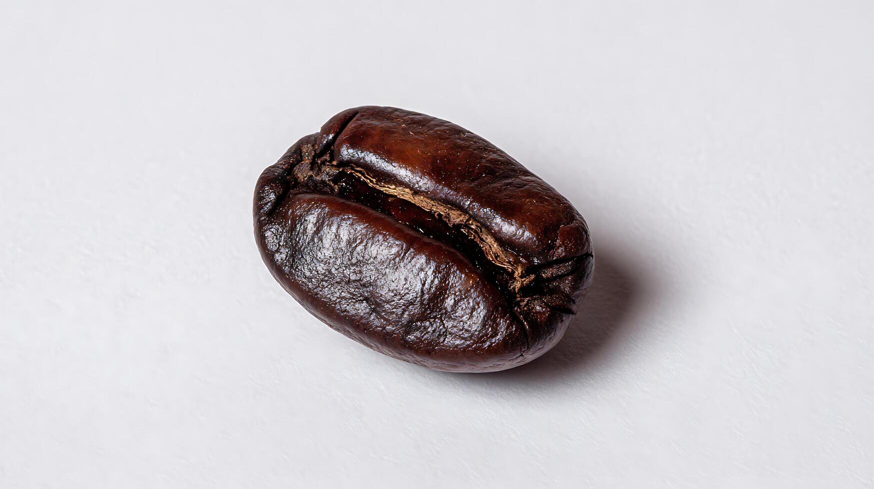 Extreme Close Up of a Single Roasted Coffee Bean on a White Surface. photo