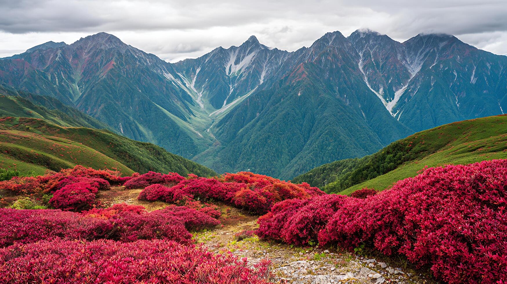 Vivid Red Mountain Flowers Frame Majestic Peaks Under Cloudy Skies. photo