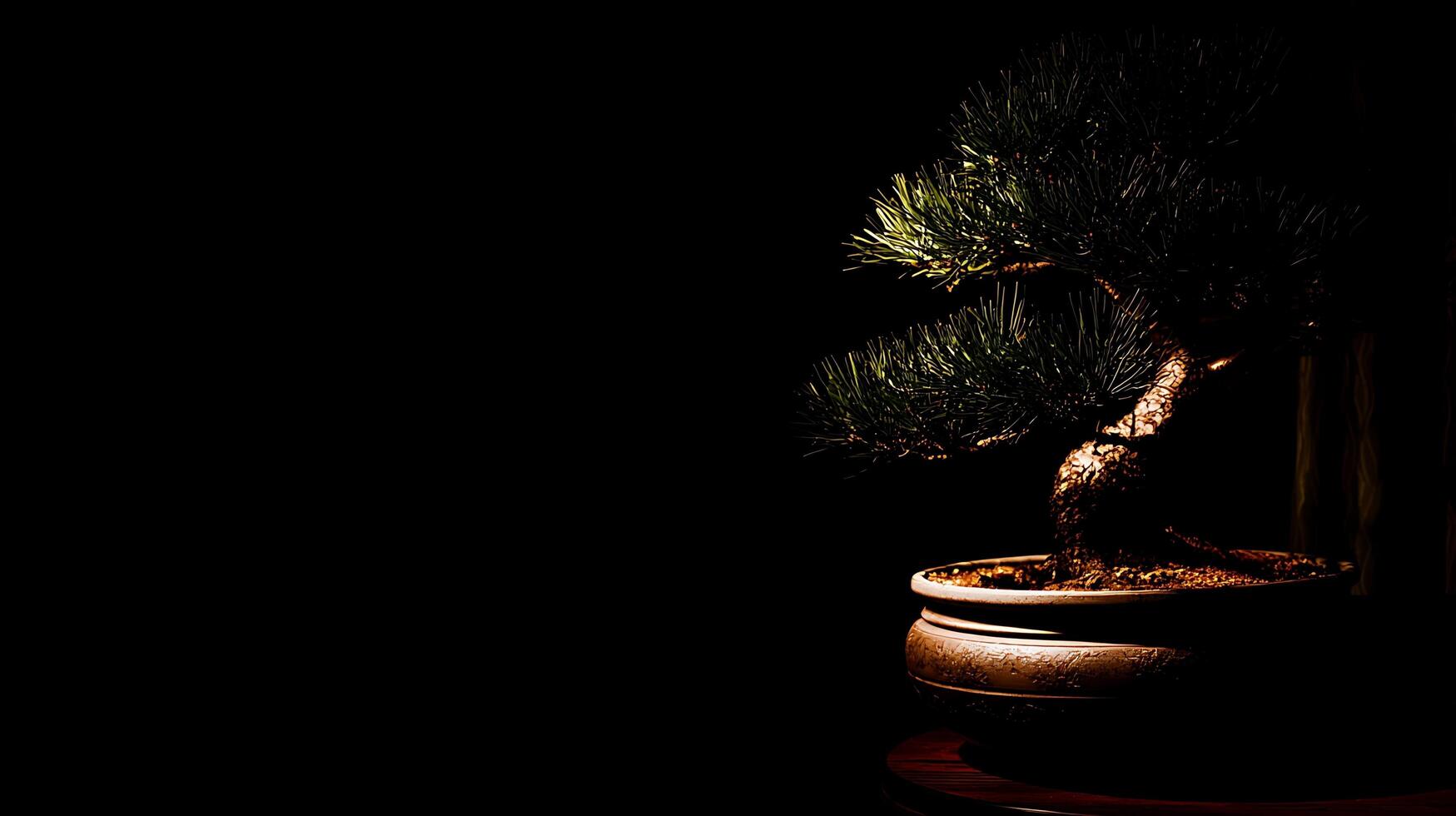 Serene Bonsai Tree in Dramatic Spotlight with Dark Background. photo