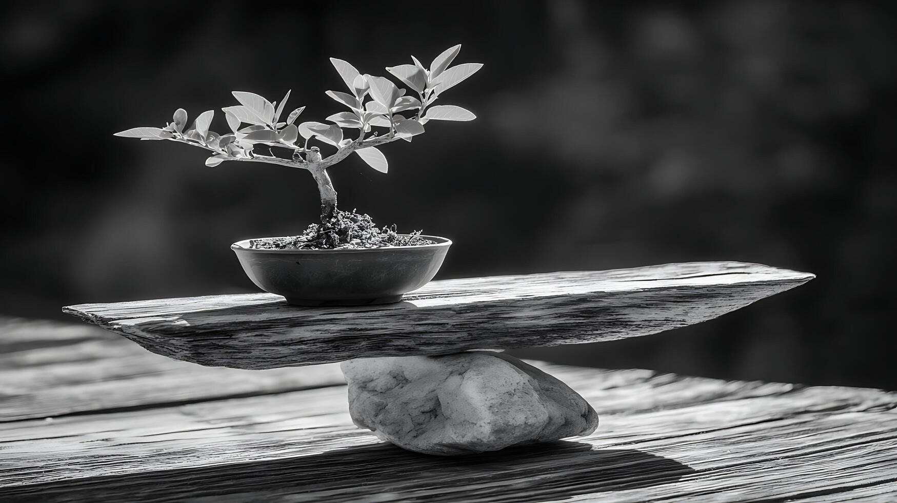 A delicate bonsai tree finding perfect balance on weathered wood. photo