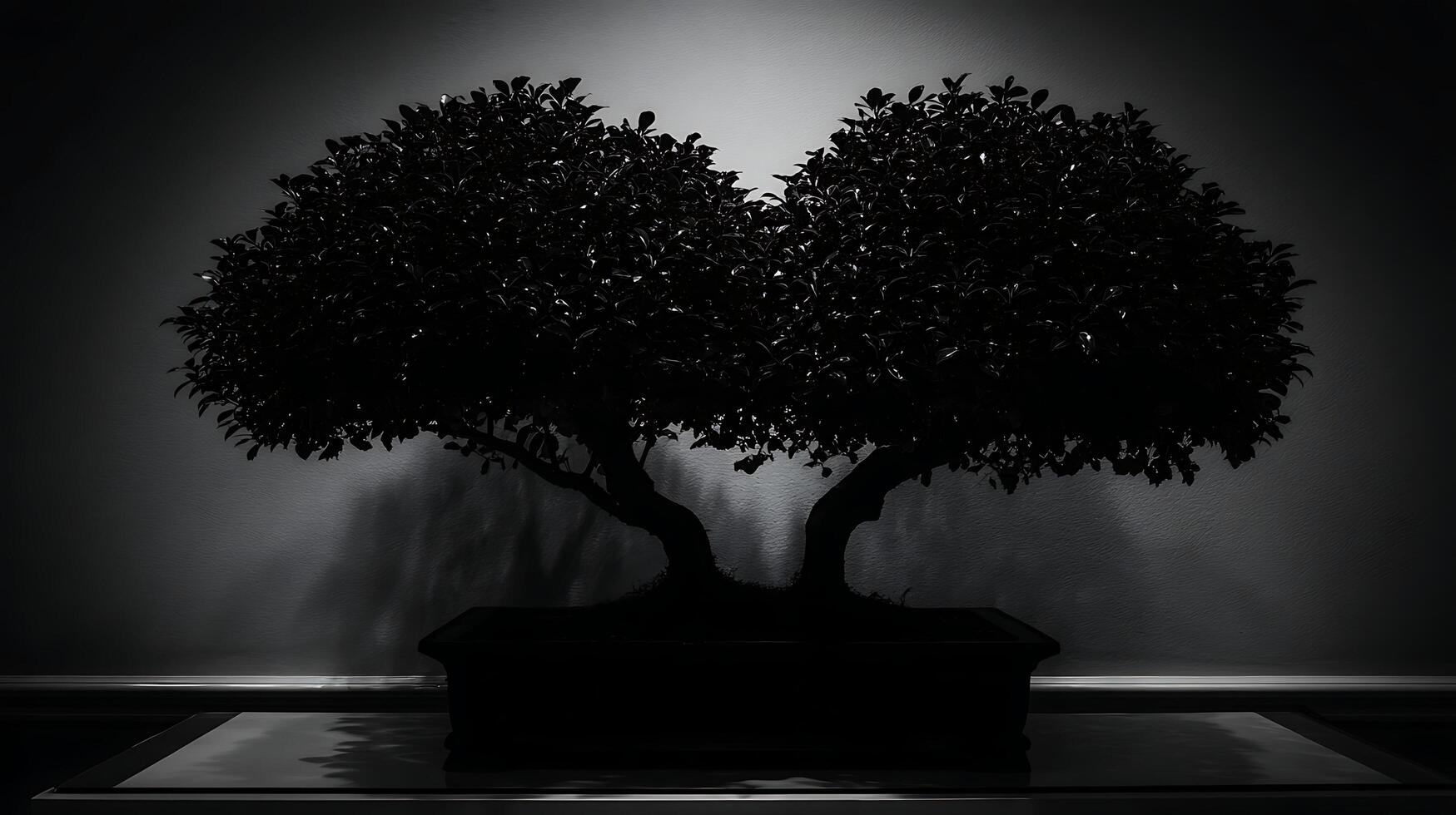 Dramatic Silhouette of a Twin Bonsai Tree in a Dark Setting. photo