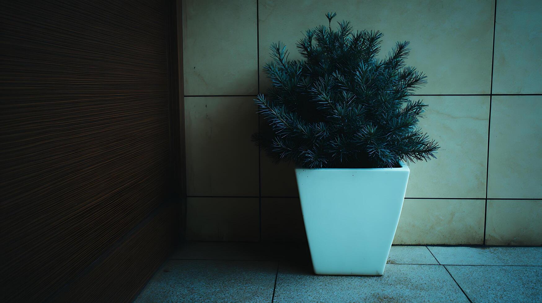 Potted Evergreen Plant in Modern Setting with Textured Wall. photo