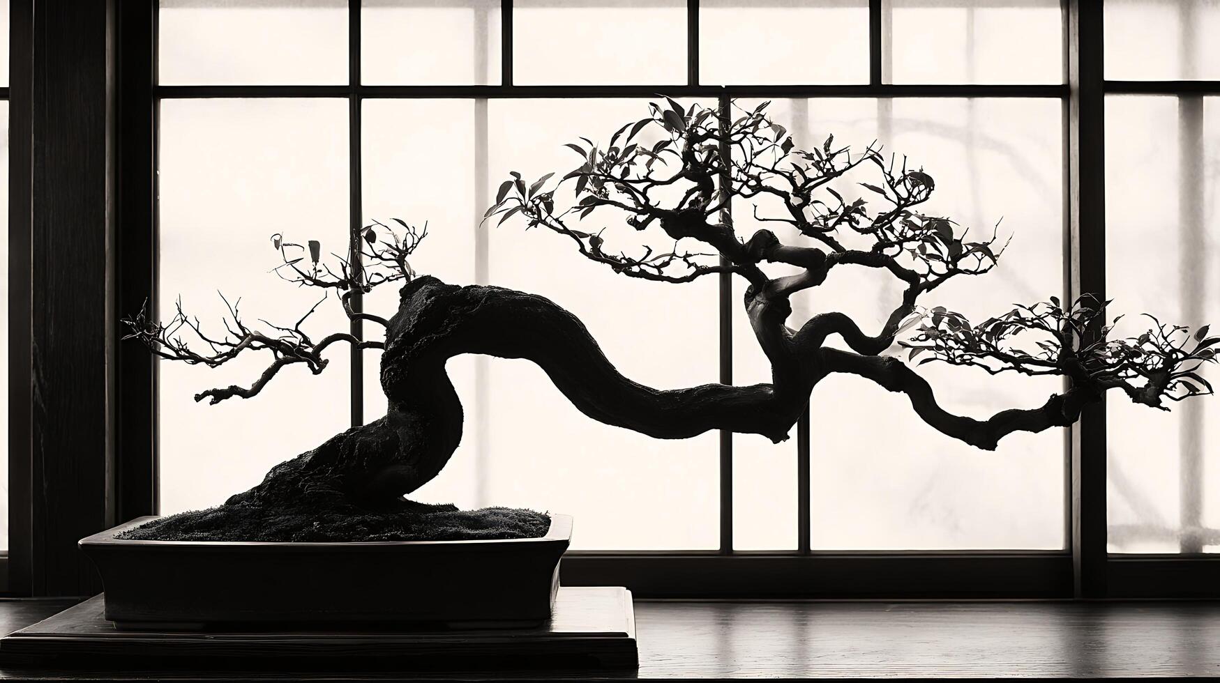 Serene Silhouette of a Twisted Bonsai Tree by a Window. photo
