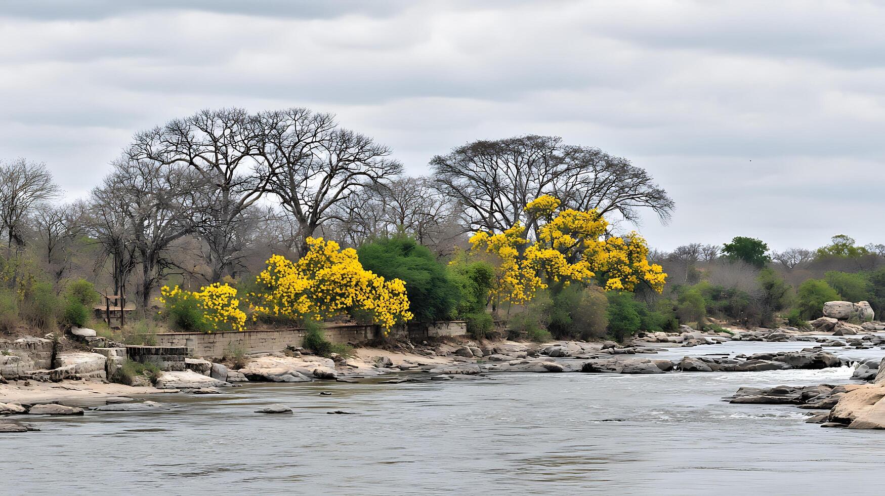 Dramatic River Rocks and Bright Yellow Flowers Under Cloudy Skies. photo
