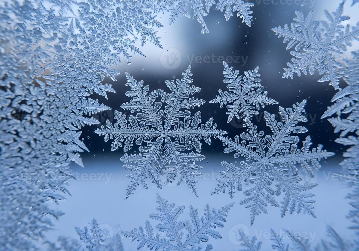Frost Crystals on Window Forming Snowflake Shapes photo