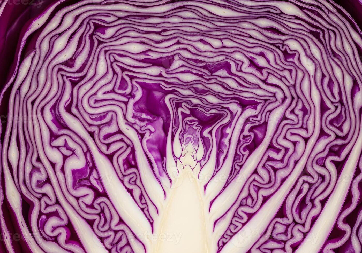 Macro Cross-Section of Red Cabbage with Abstract Texture photo