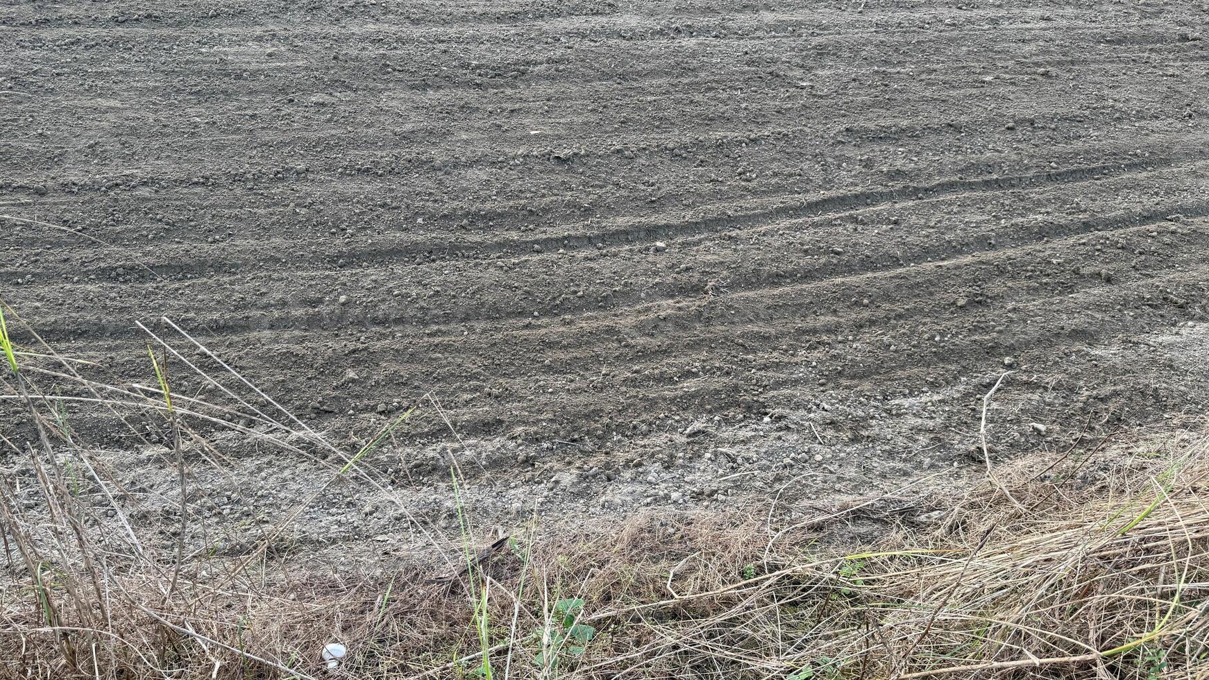 Freshly tilled rich soil exhibits deep furrows, offering a textural view along with sparse vegetation photo