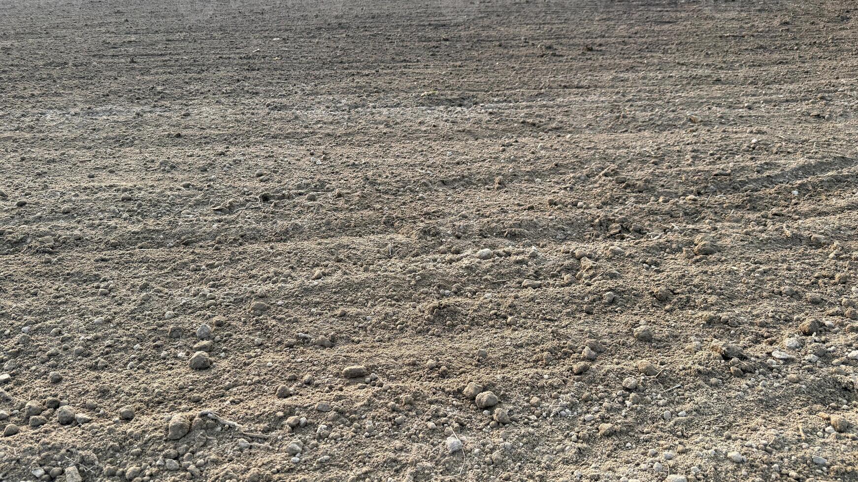 A vast expanse of tilled soil under the open sky creates an earthy texture photo