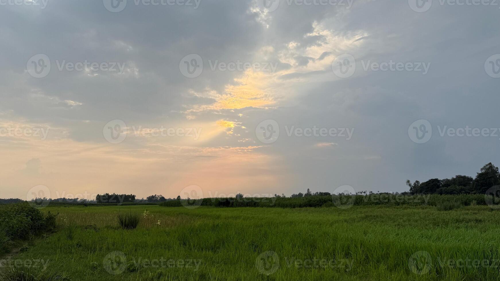Sunlight streams through cloudy sky over a vast green field in rural Bangladesh photo