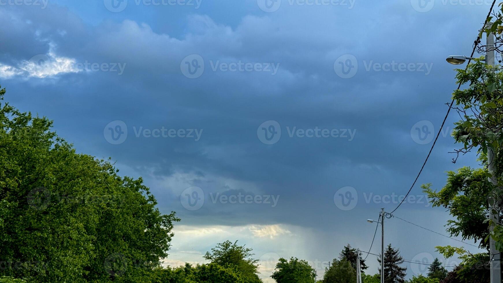 Underloom of brooding cerulean skies, leafy sentinels sway, whispering tales of Tempestade Day and Arbor Appreciation photo