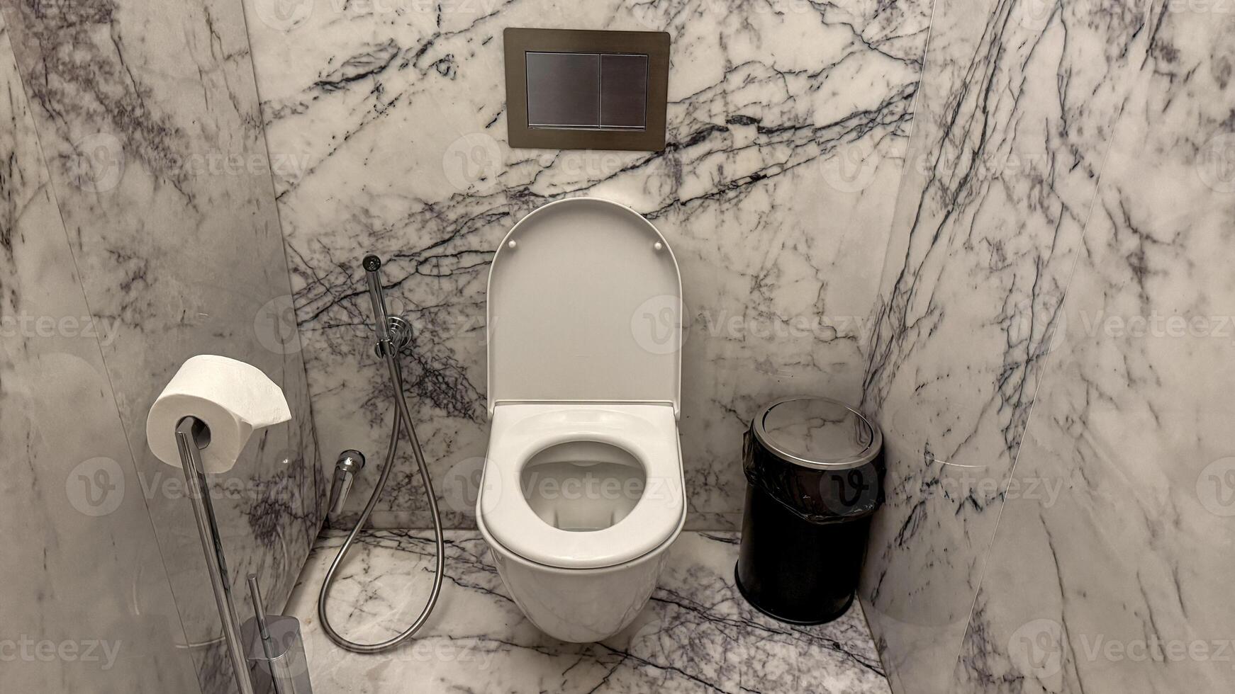 Gleaming marble sanctuary for introspective musings, rooted in World Toilet Day, peculiar porcelain throne in hygienic solitude photo