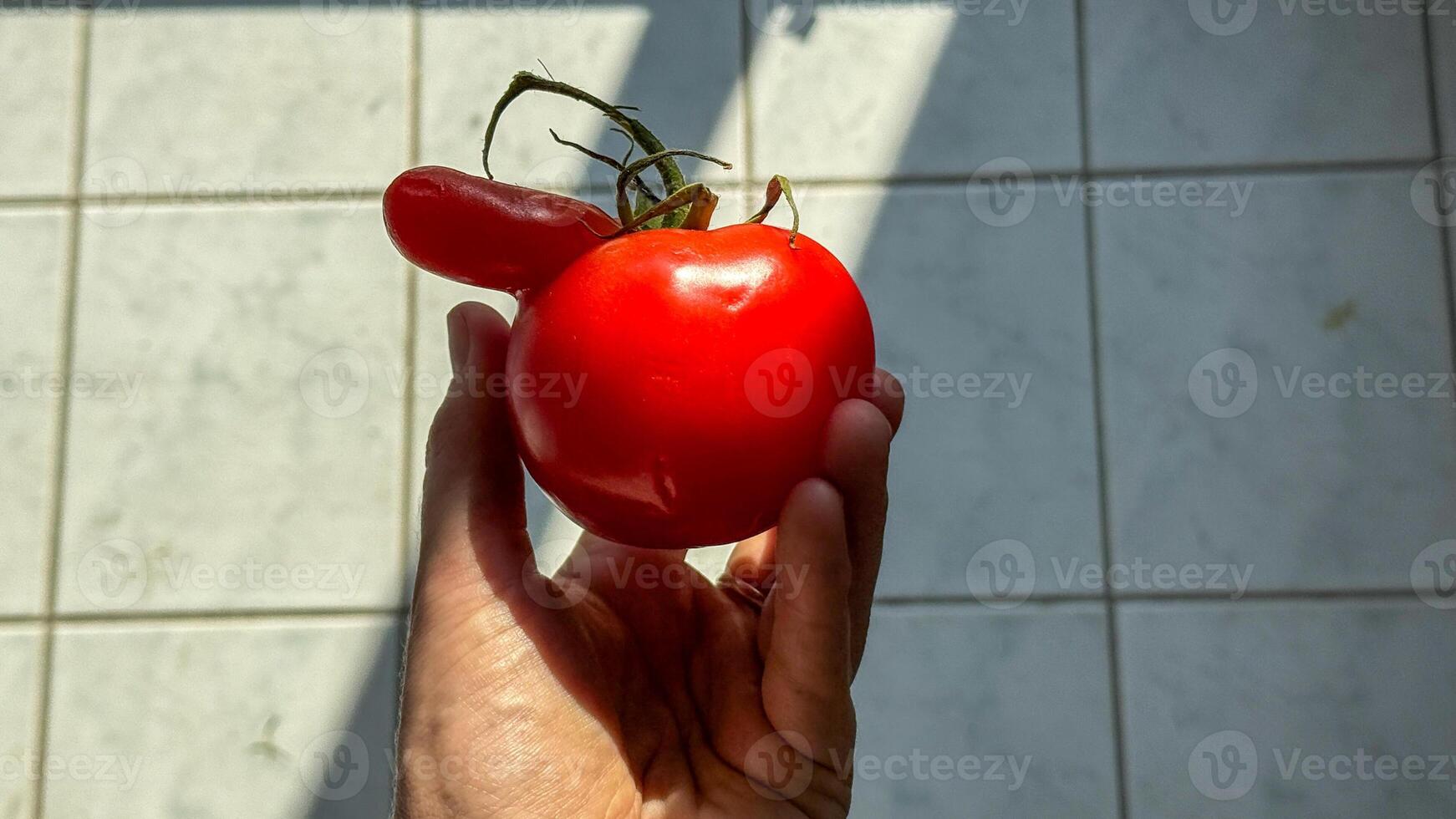 Quirky tomato with protruding branch, whimsical garden oddity, Italian harvest festival vibes, celebrating eccentric vegetable beauty photo