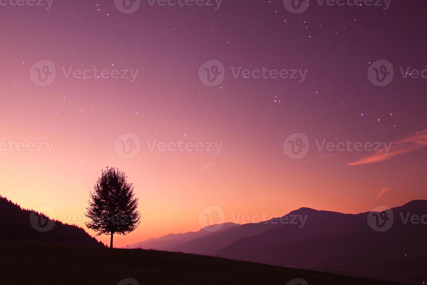 A lone tree stands on a hillside at sunset photo