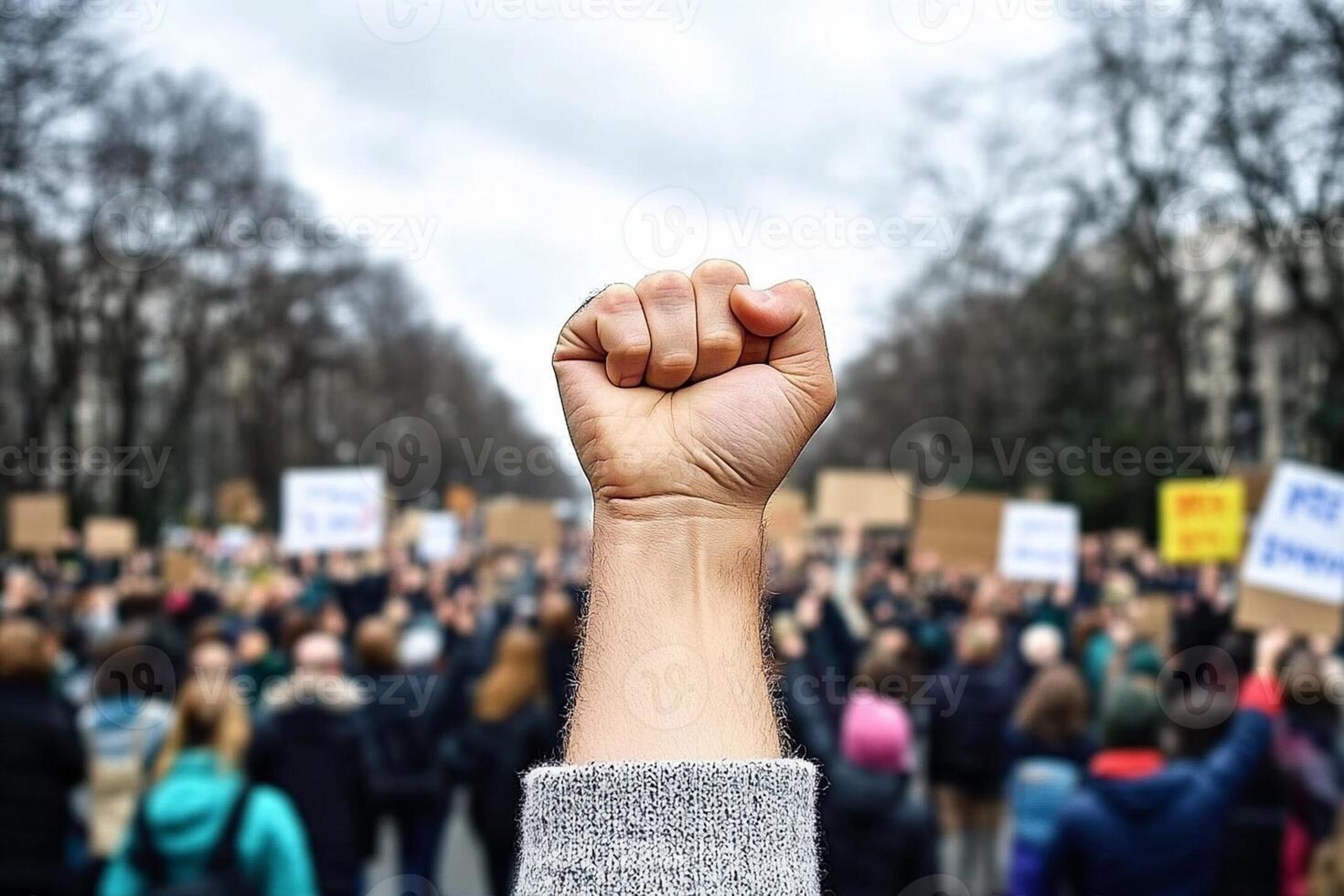 A person holding up a fist in front of a crowd photo