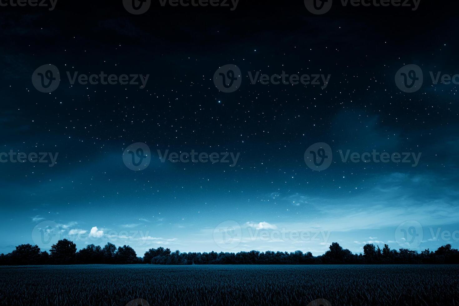 A field with trees and sky at night photo
