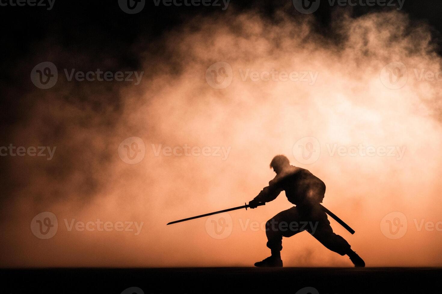 Silhouette of a karate fighter in the smoke photo