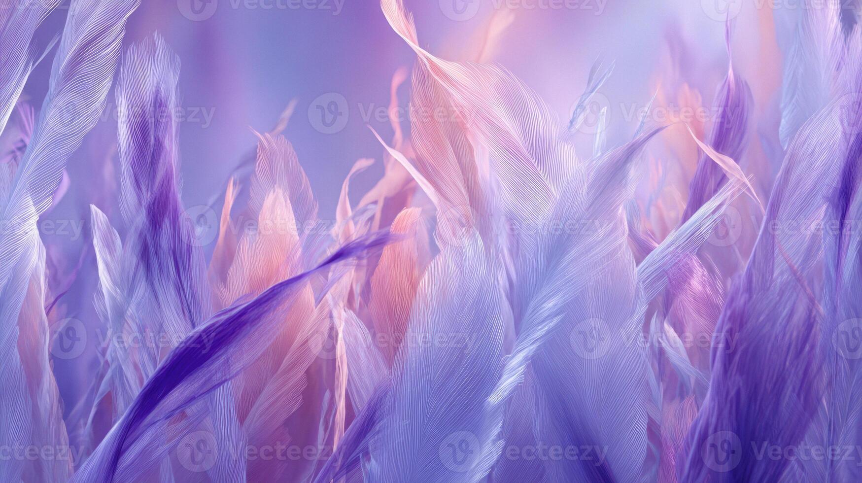 Abstract artistic arrangement of purple and pink feathers illuminated by soft lighting ideal for creative design and decorative visuals. photo