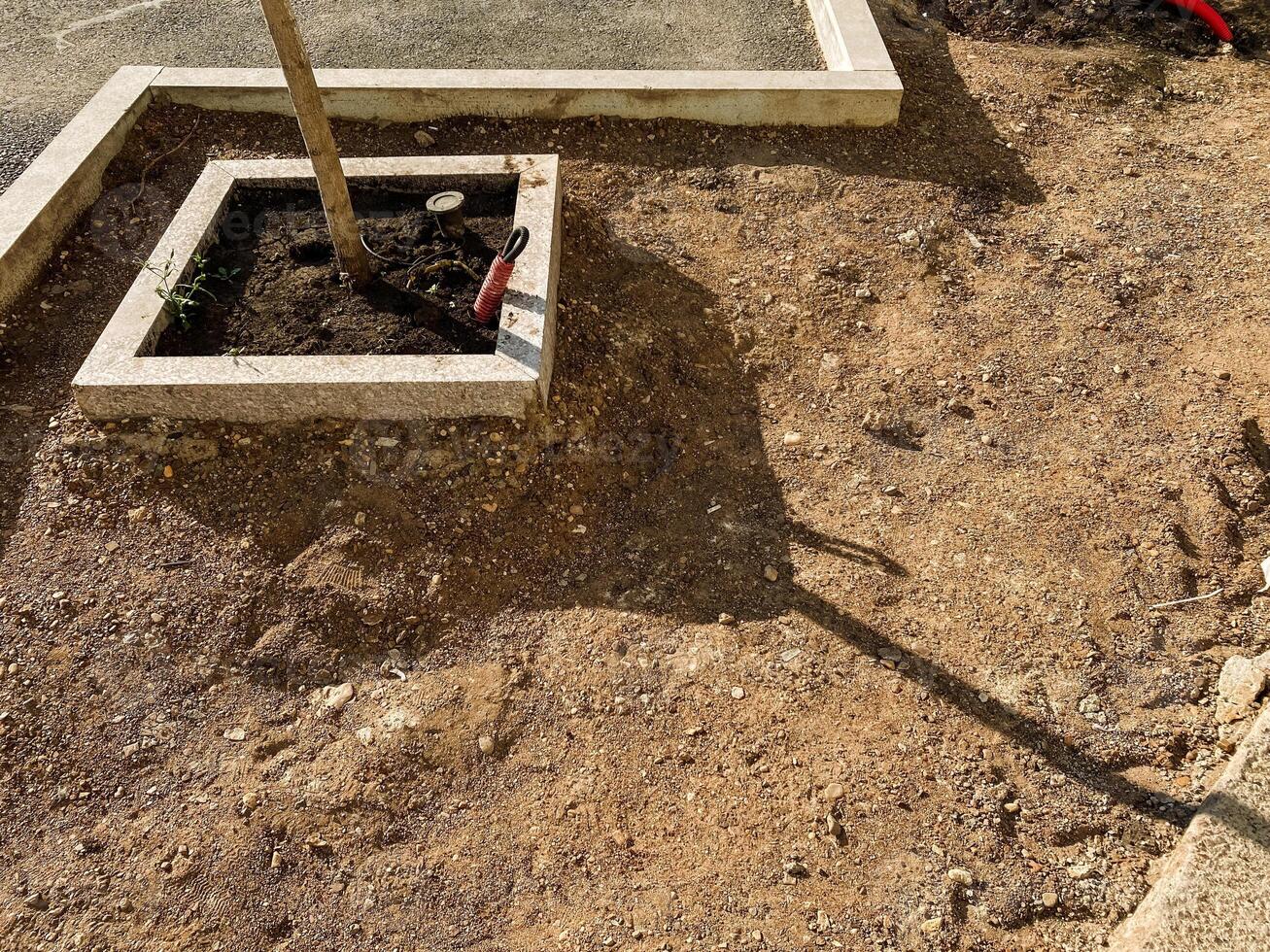 A person is carefully planting a young tree in a square planter, ensuring the roots are well positioned in the rich soil beside the sidewalk in a construction area nearby photo