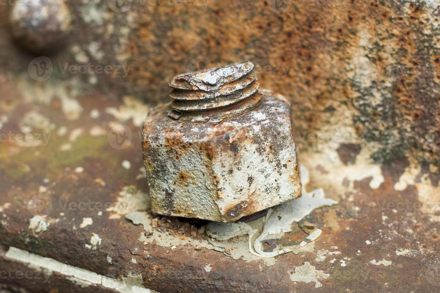 Close-Up of Rusted Railroad Bolt on Aging Track photo