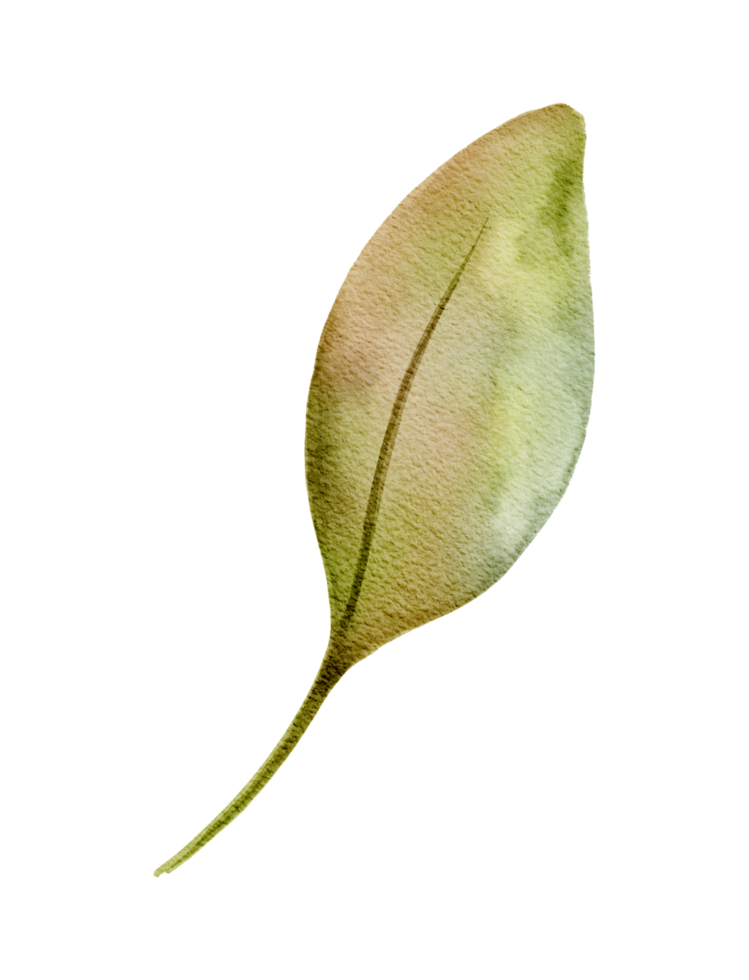 Minimal Botanical Leaf, Hand Drawn Autumn Design in Soft Earth Colors png