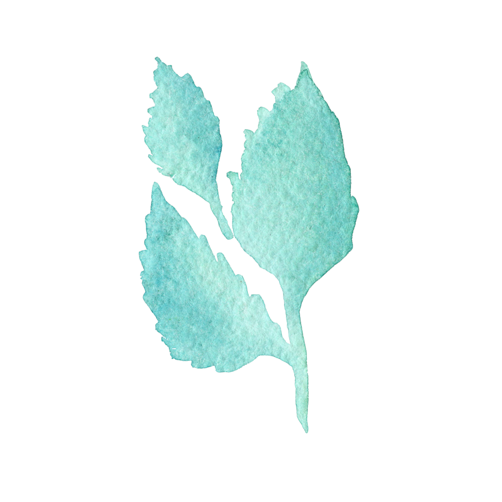 Watercolor turquoise leaves branch illustration isolated png